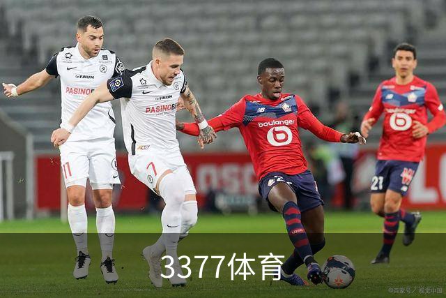3377体育公司介绍